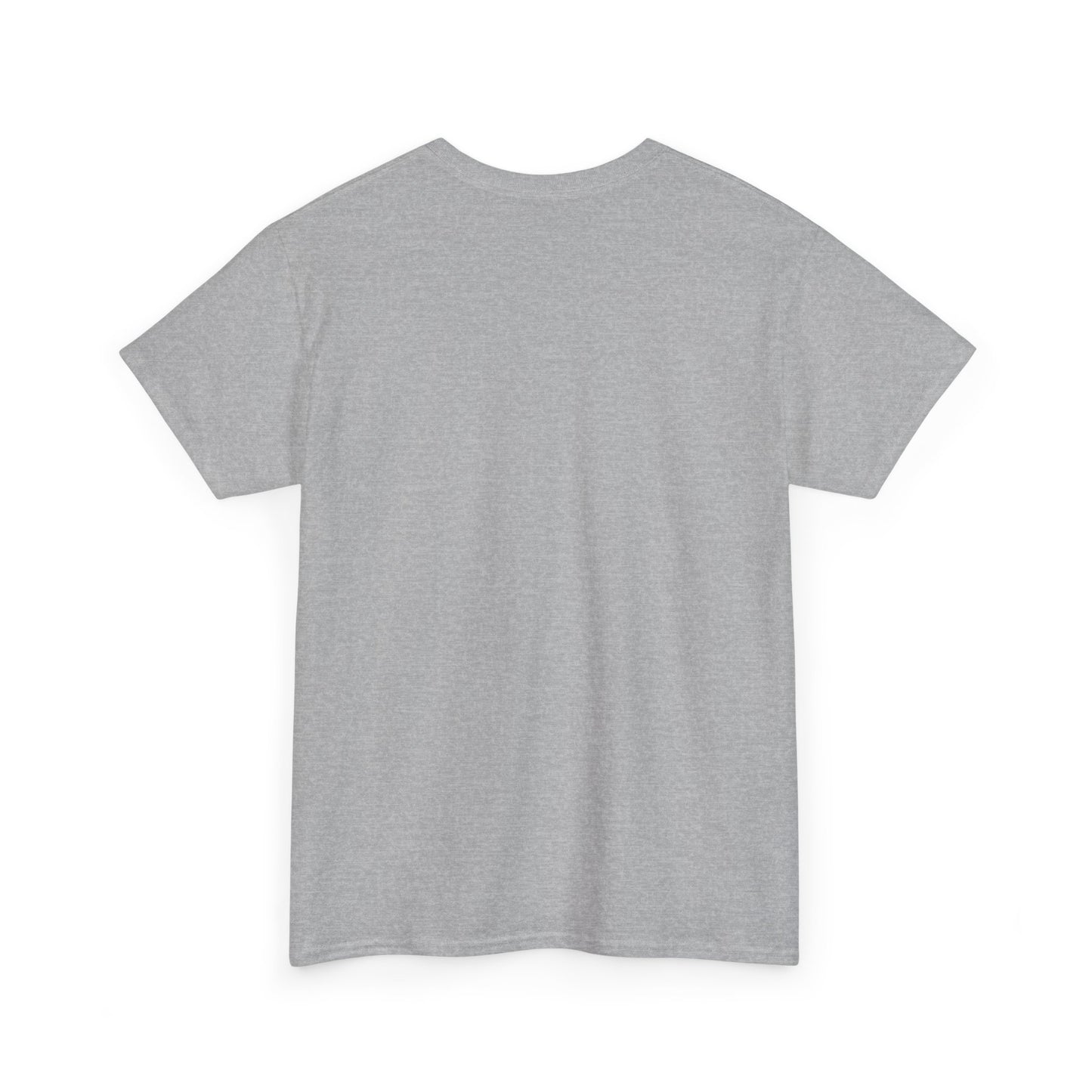 NOPE Unisex Tee - No Kings T-Shirt