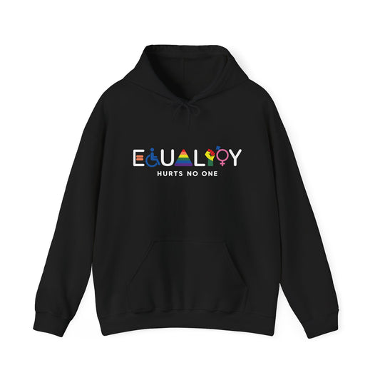 Equality Hurts No One Hoodie